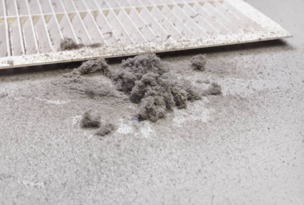 Best Local Air Duct Cleaning Services  in Viroqua, WI